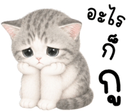 เหมียวมี่ แมวน้อยแสนซน รูปที่ 30