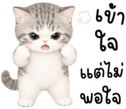 เหมียวมี่ แมวน้อยแสนซน รูปที่ 31