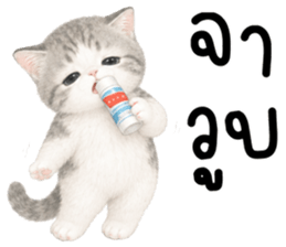 เหมียวมี่ แมวน้อยแสนซน รูปที่ 32