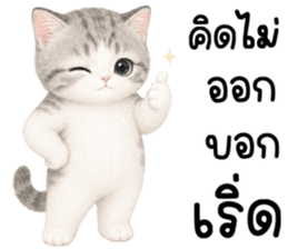 เหมียวมี่ แมวน้อยแสนซน รูปที่ 33