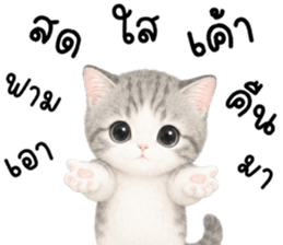 เหมียวมี่ แมวน้อยแสนซน รูปที่ 35