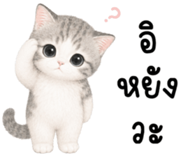 เหมียวมี่ แมวน้อยแสนซน รูปที่ 36