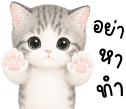 เหมียวมี่ แมวน้อยแสนซน รูปที่ 37