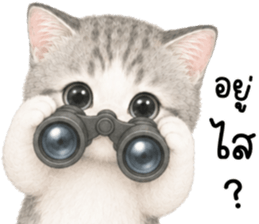 เหมียวมี่ แมวน้อยแสนซน รูปที่ 38