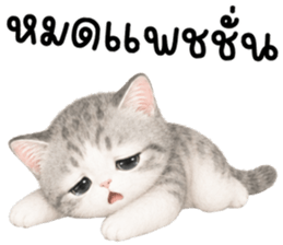 เหมียวมี่ แมวน้อยแสนซน รูปที่ 40