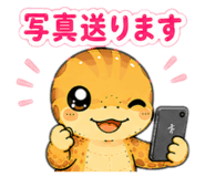857147813