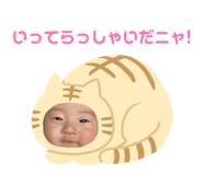 857162488