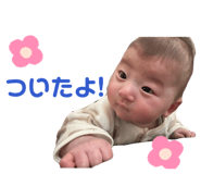 857162516