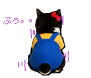 857162658