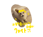 857163460