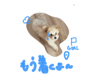857163462