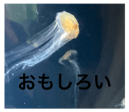 857172823