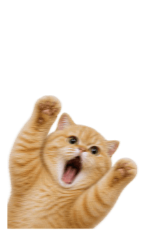 857177273