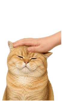 857177274