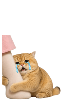 857177283