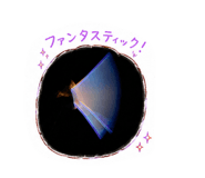 857177557