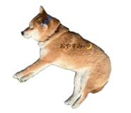 857178293
