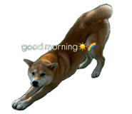857178295