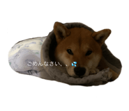 857178296