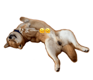 857178300