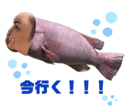 857179384
