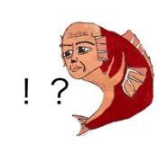 857180093