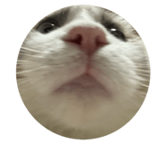 857180273