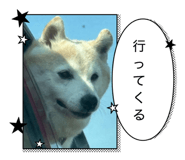 857204145