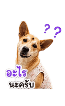 857208890