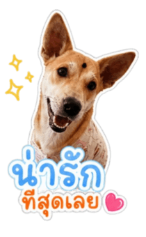 857208900