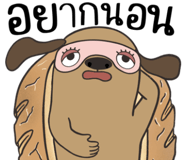 857209411