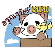 857229337