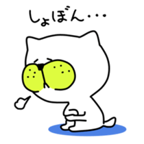 8572297