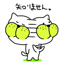 8572304