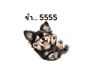857234227