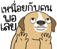 857249841