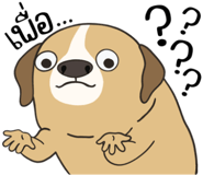 857249853