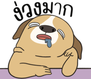 857249855