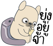 857249886