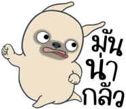 857249887