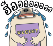 857249896