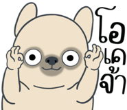 857249905