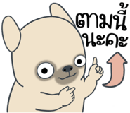 857249908