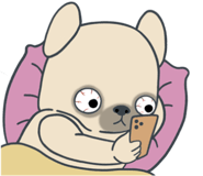 857249911