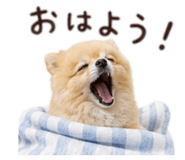 857250033