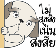 857250056