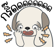 857250060