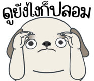 857250069