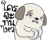 857250072