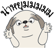 857250077